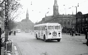 Ocaleni z Holokaustu: Białe autobusy za zgodą Himmlera