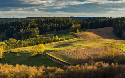 Suwalski Park Krajobrazowy miejscami przypomina pogórze.