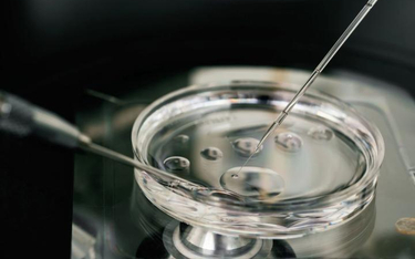 Techniki wspomagania rozrodu łączące komórki trzech osób to „in vitro nowej generacji”