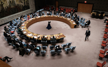 Posiedzenie RB ONZ z 31 stycznia, na którym omawiano sytuację wokół Ukrainy