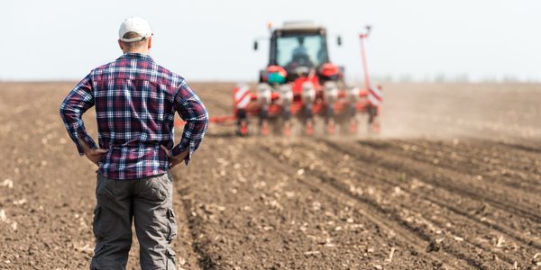 Rolnicy ruszą po kredyty 1 proc.? BGK kusi miliardem na gwarancje