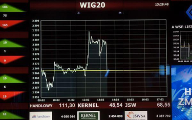 Na zamknięciu WIG20 zyskiwał 0,47 proc.