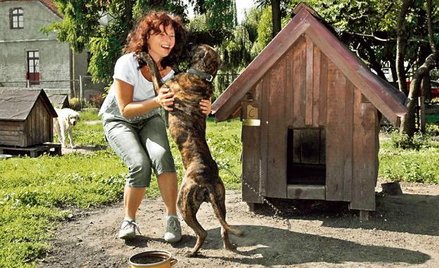 Kierowniczka schroniska Izabela Andrzejewska nie zgadza się z zarzutami złego traktowania psów. – Pr