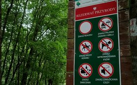 Do większości lasów w Warszawie można wejść z psem