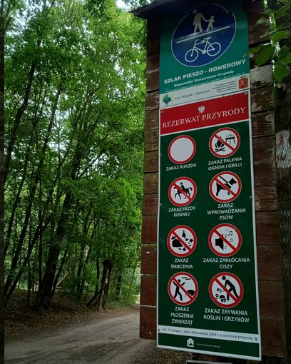 Do większości lasów w Warszawie można wejść z psem