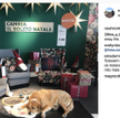 IKEA otwiera drzwi bezdomnym psom