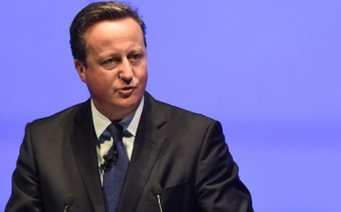 Cameron: Trzeba zaakceptować zaostrzone kontrole