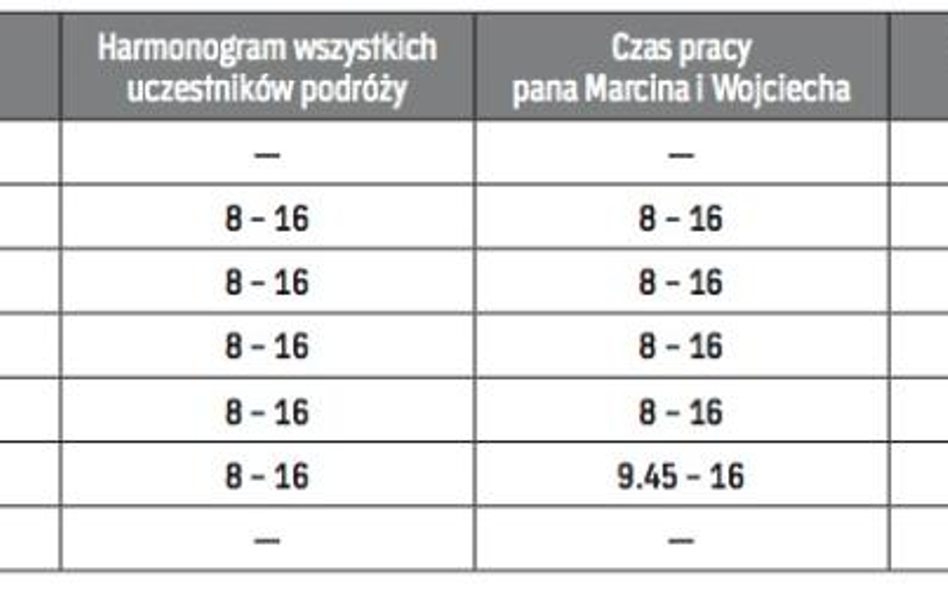 Plan i wykonanie
