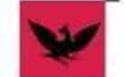 "Rzecz na święta" poleca