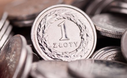 Złoty obojętny na zwyżki głównej pary walutowej