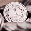 Adam Woźniak: Słaby złoty mocno straszy