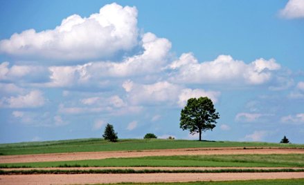Kolejka chętnych do koszenia zysków z pól