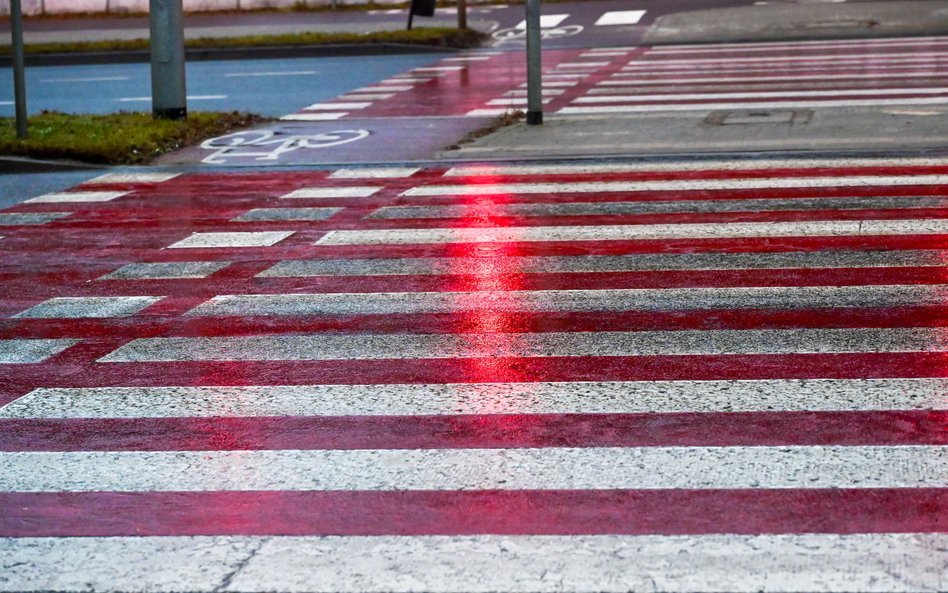 Gołoledź na ulicy Szczecina