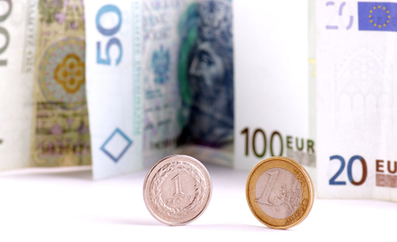 Elżbieta Chojna-Duch: Euro także w Polsce?
