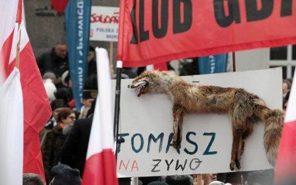 Oborńcy zwierząt chcą, by prokuratura ustaliła skąd się wziął martwy lis na manifestacji. Czy nie zł