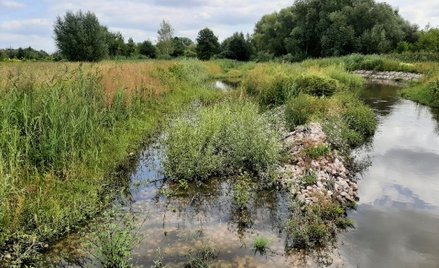 Adaptacja do zmian klimatu - krótki czas na działanie