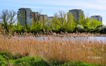 Nową zabudową mają być objęte m.in. okolice Jeziorka Czerniakowskiego