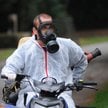 Larwy korowódki dębówki są w Niemczech intensywnie zwalczane. Służby używają do tego środków biobójc