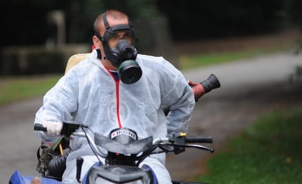 Larwy korowódki dębówki są w Niemczech intensywnie zwalczane. Służby używają do tego środków biobójc