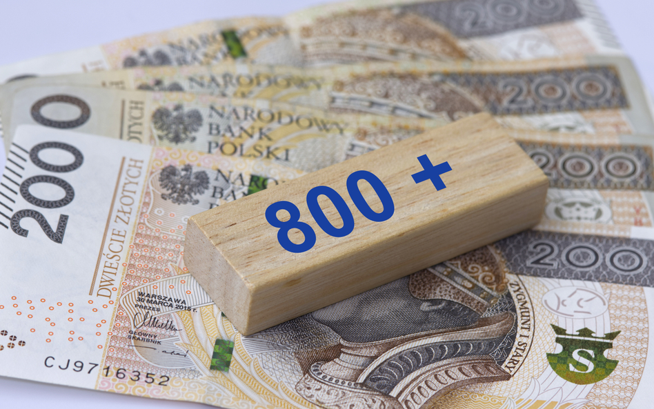800+ wyłącznie dla pracujących? Ekonomiści w większości są na „nie”