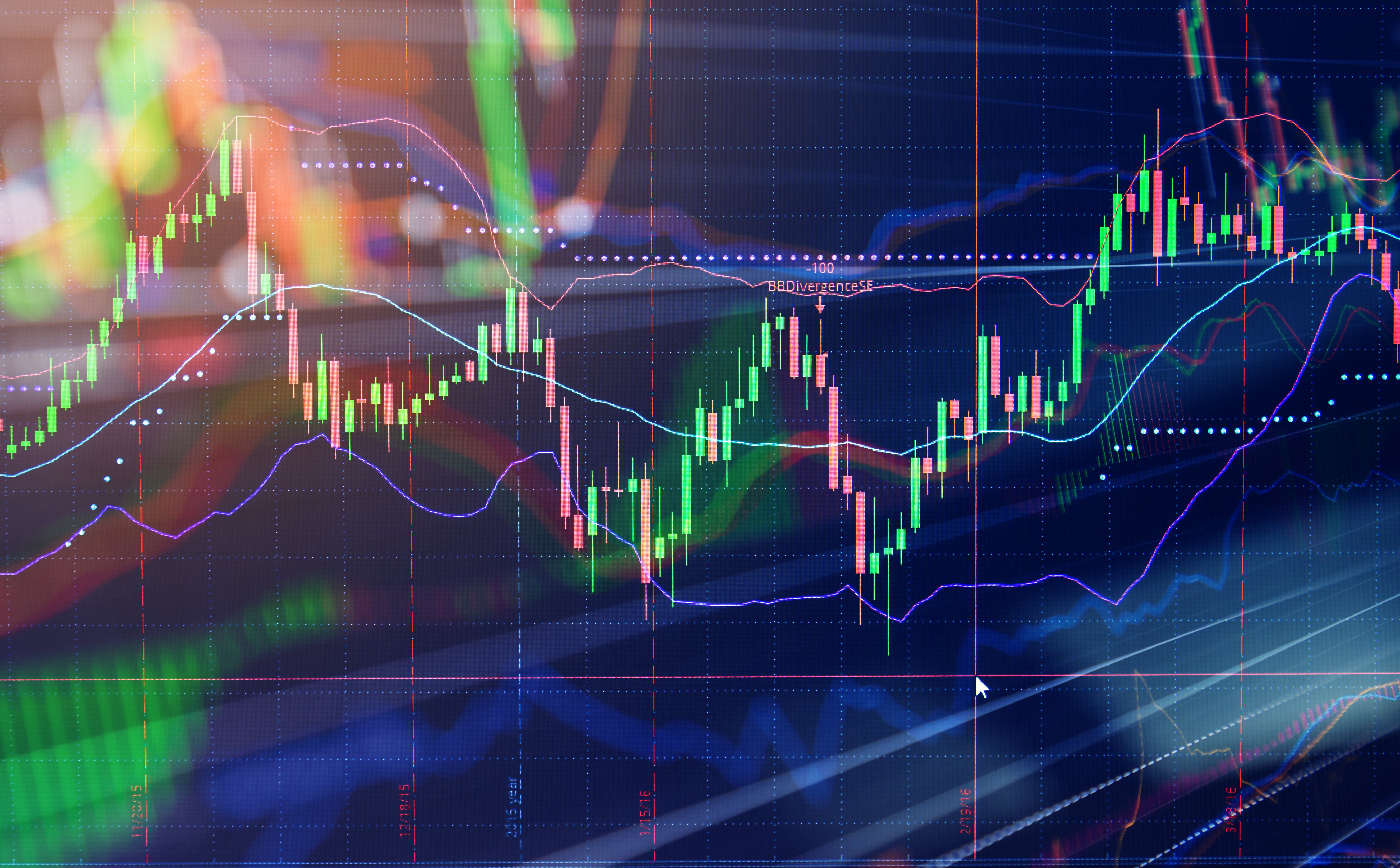 Spółki polecane przez Trigon DM na 2026 rok