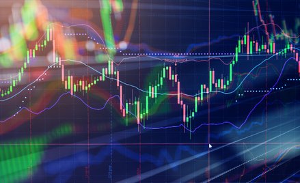 Spółki polecane przez Trigon DM na 2026 rok