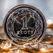 Złoty wyczerpał już potencjał do wzrostu. Przed szansą małe spółki