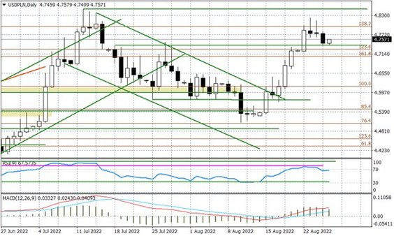 Wykres dzienny USDPLN