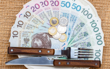 VAT: wydając bon na obiad, spółka nie kupuje usługi gastronomicznej