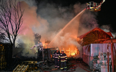 Strażacy walczący z pożarem w Crevedii