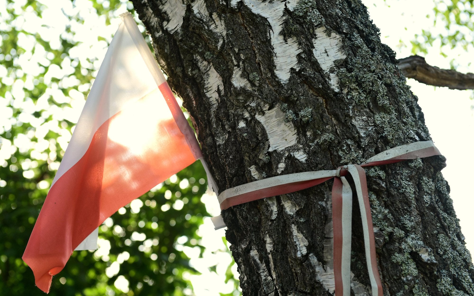 Mija 16 lat od katastrofy w Smoleńsku. Politycy upamiętnili ofiary tragedii