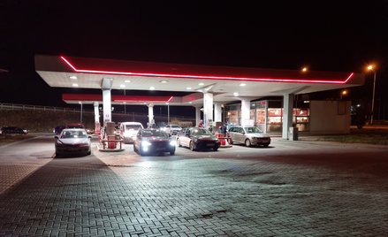 Nowe ceny paliw już obowiązują. Polacy szukają informacji w internecie