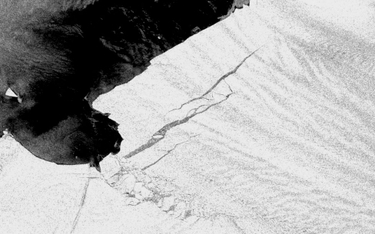 Góra lodowa wielkości Malty oderwała się od Antarktydy