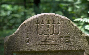 Nagrobek na cmentarzu żydowskim.
