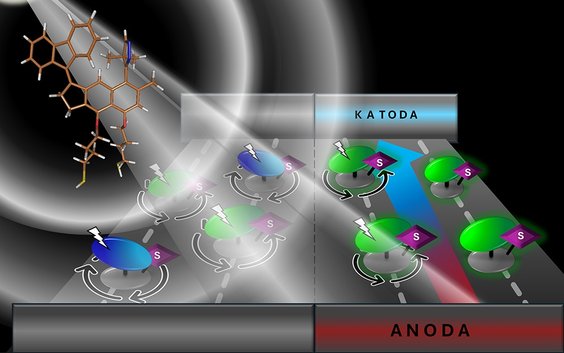 Schemat indukowanego impulsem pola elektrycznego przełączania kierunku pracy motorów molekularnych. 