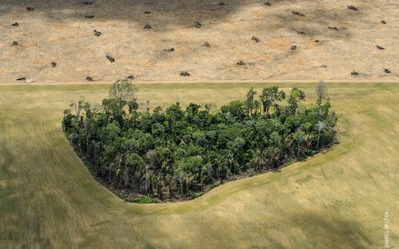 Daniel Beltra, "Amazon: Paradise Threatened"