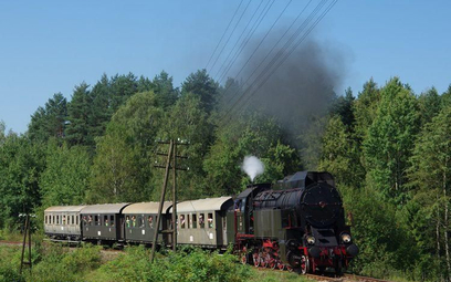 fot. skansenchabowka.pl