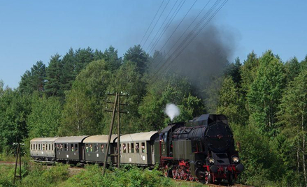 fot. skansenchabowka.pl