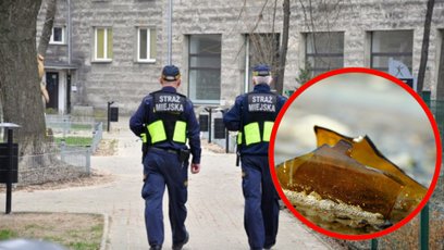 Dzięki szybkiej reakcji straży miejskiej udało się uniknąć poważniejszych konsekwencji bójki