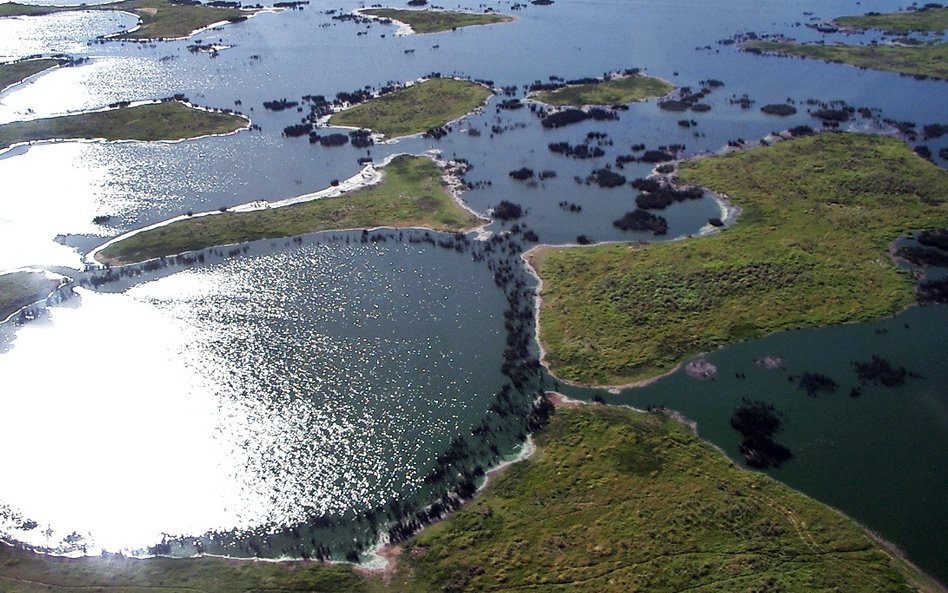 Pantanal w Ameryce Południowej to największe na świecie tereny podmokłe.