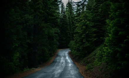 Wypadek autokaru z pielgrzymami na Syberii