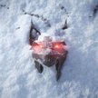 CD Projekt potwierdza: będzie kolejny „Wiedźmin”