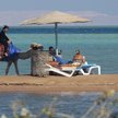 Traveldata: Luty nie przyniósł podwyżek cen wakacji