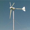 Prawo nie rozpieszcza inwestujących w energię wiatrową