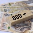 800+