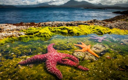 „Błękitna Planeta II”, odcinek 6