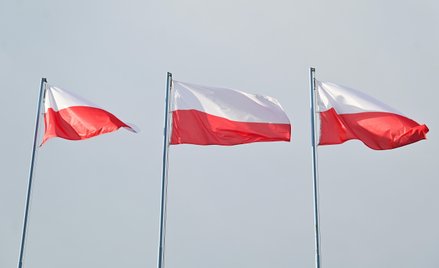 Estera Flieger: Dzień świstaka z obchodami 80. rocznicy zakończenia II wojny światowej