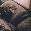 Na problemy ze snem skarży się aż 34 procent Polaków.