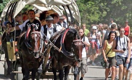 Brak kompromisu w sprawie koni z Morskiego Oka