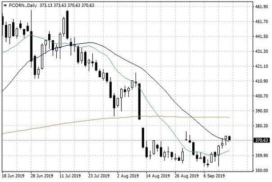 Notowania kukurydzy w USA – dane dzienne